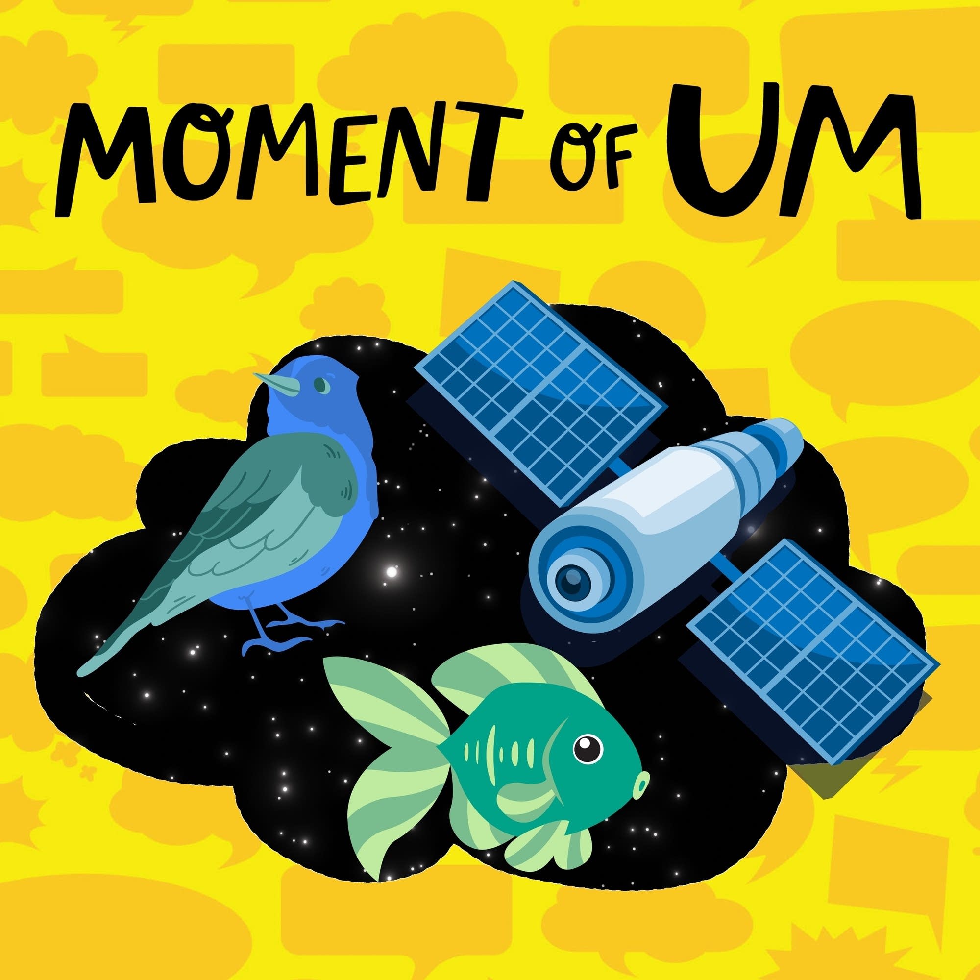 Moment Of Um