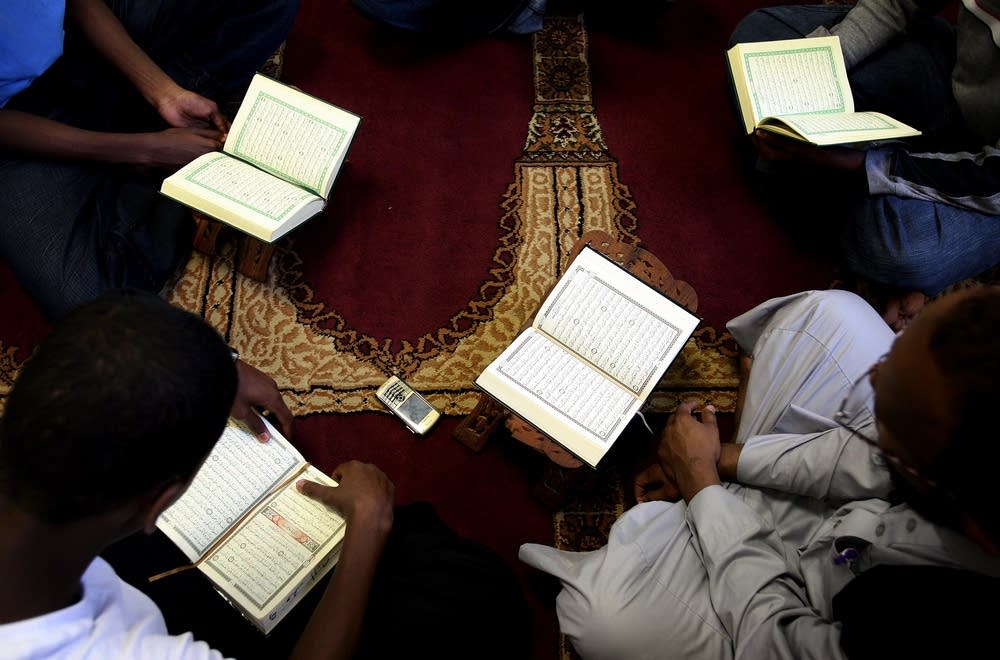 Studying the Qur'an