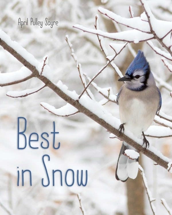 'Best in Snow' by April Pulley Sayre