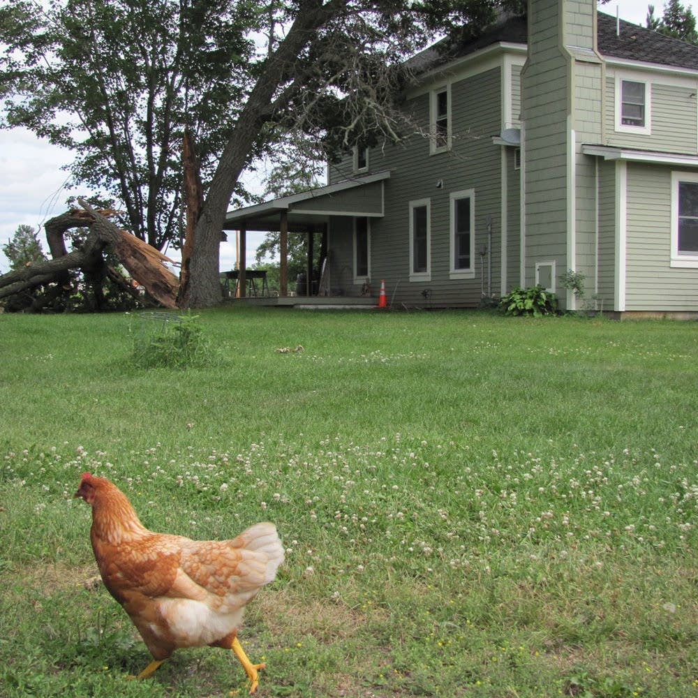 The Kloos' home