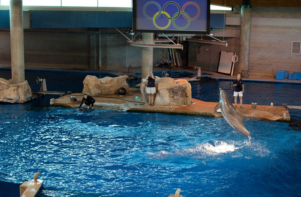 Legislators want review as Minn. Zoo ends dolphin exhibit Minnesota