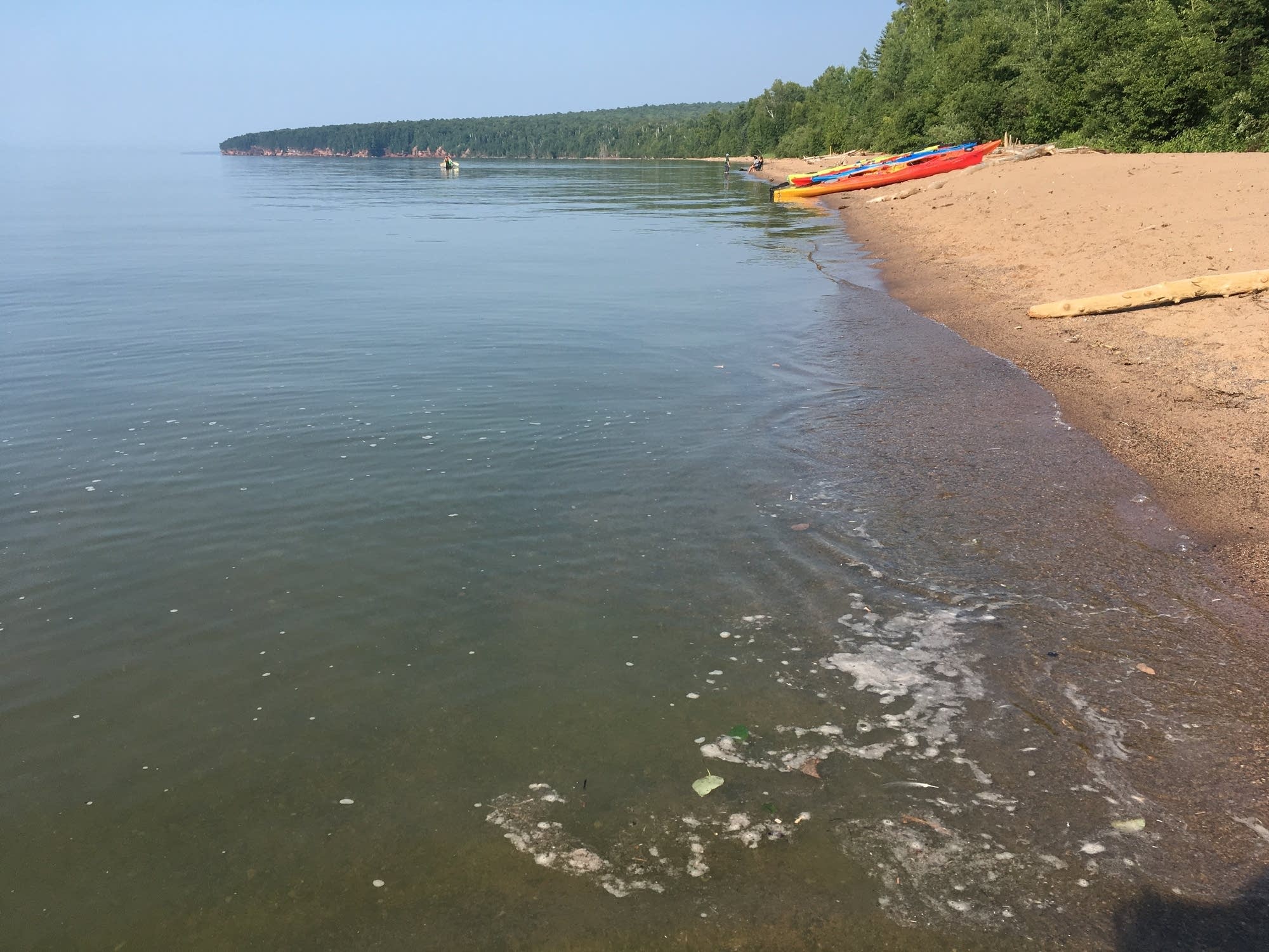 The blooms only started appearing in Lake Superior in 2012.
