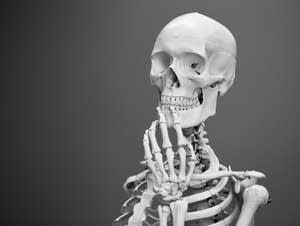A skeleton.