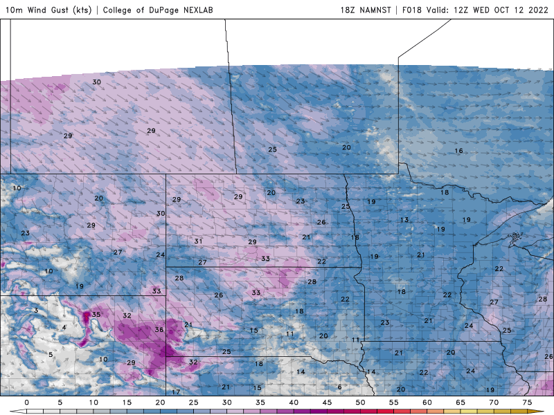 winds WED
