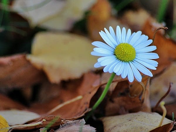 What songs do you want to hear for today's 9:30 Coffee Break?