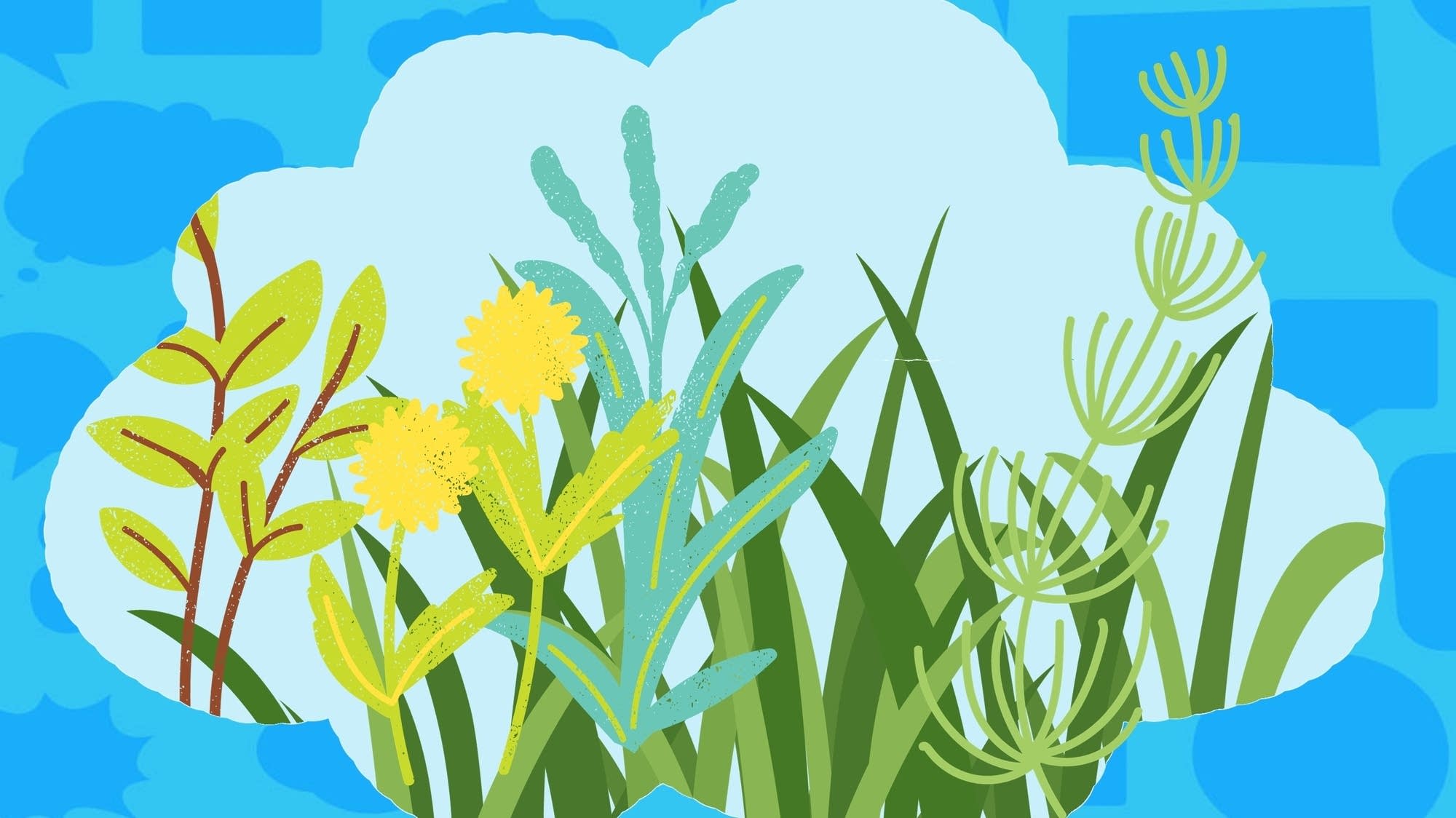 Why are some flowers called weeds? Moment of Um