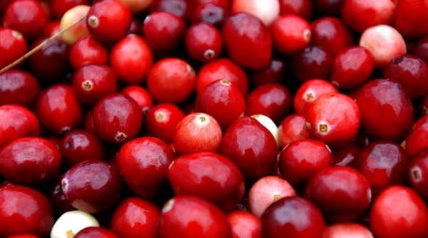 Cranberries are harvested at Weston Cranberry Farm in Carver, Massachusetts. 