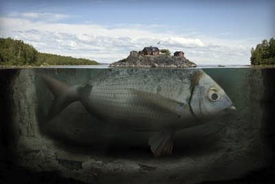 4b4822-20190124-erik-johansson