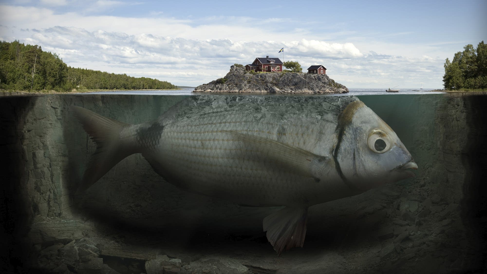 imagine ／ Erik Johansson Amazon.com: Imagine: 9781681881676: Johansson, Erik: Books