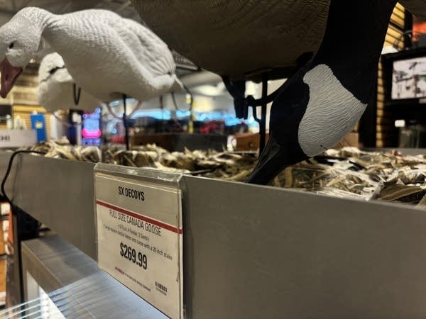 water fowl decoy