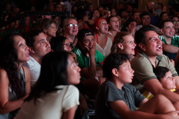 fans watch the Mexico vs England World Cup match