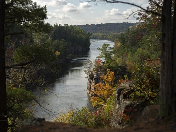 Fall foliage decorates the bluffs above the St. Croix River at Interstate Park in Taylors Falls, Minn. on Oct. 18, 2025.