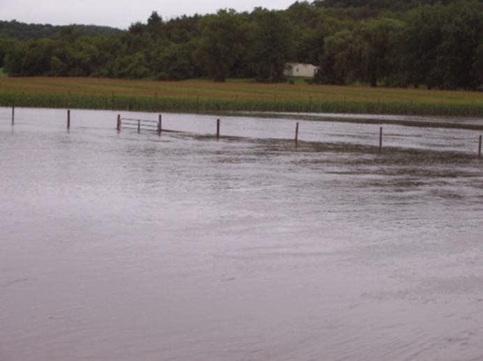 Vineyard underwater