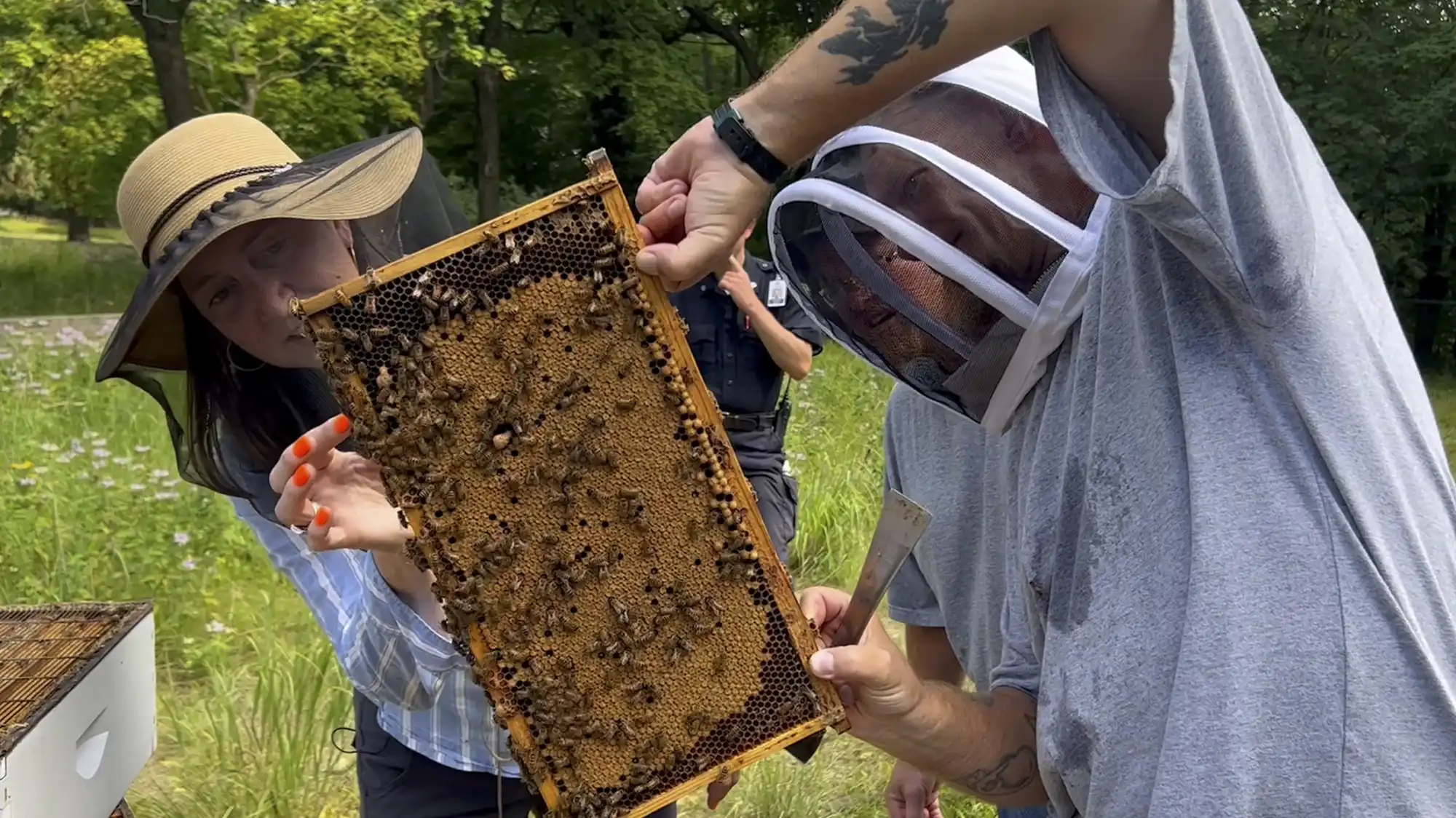 Beekeeping program at Faribault prison teaches inmates job skills