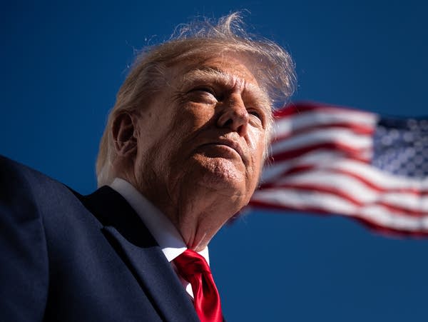DNC sues Trump administration, alleging taxpayer-funded ads violate propaganda law