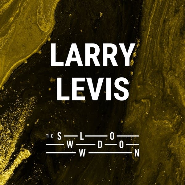 20260904 Slowdown Larry Levis