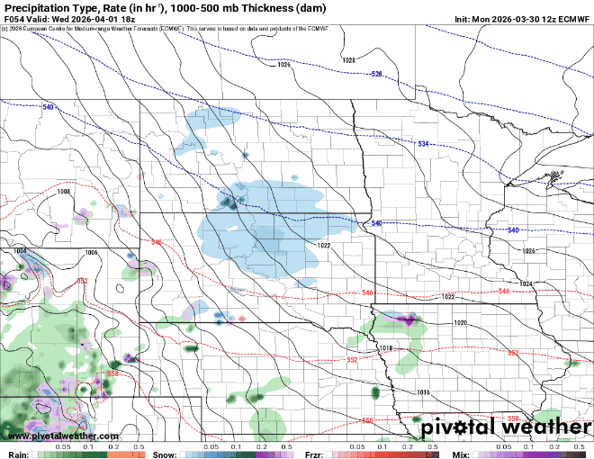 European ECMWF model
