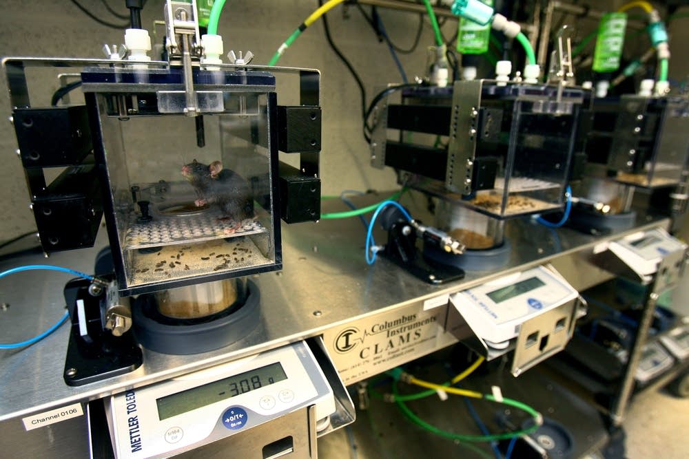 Healthspan Assessment Laboratory