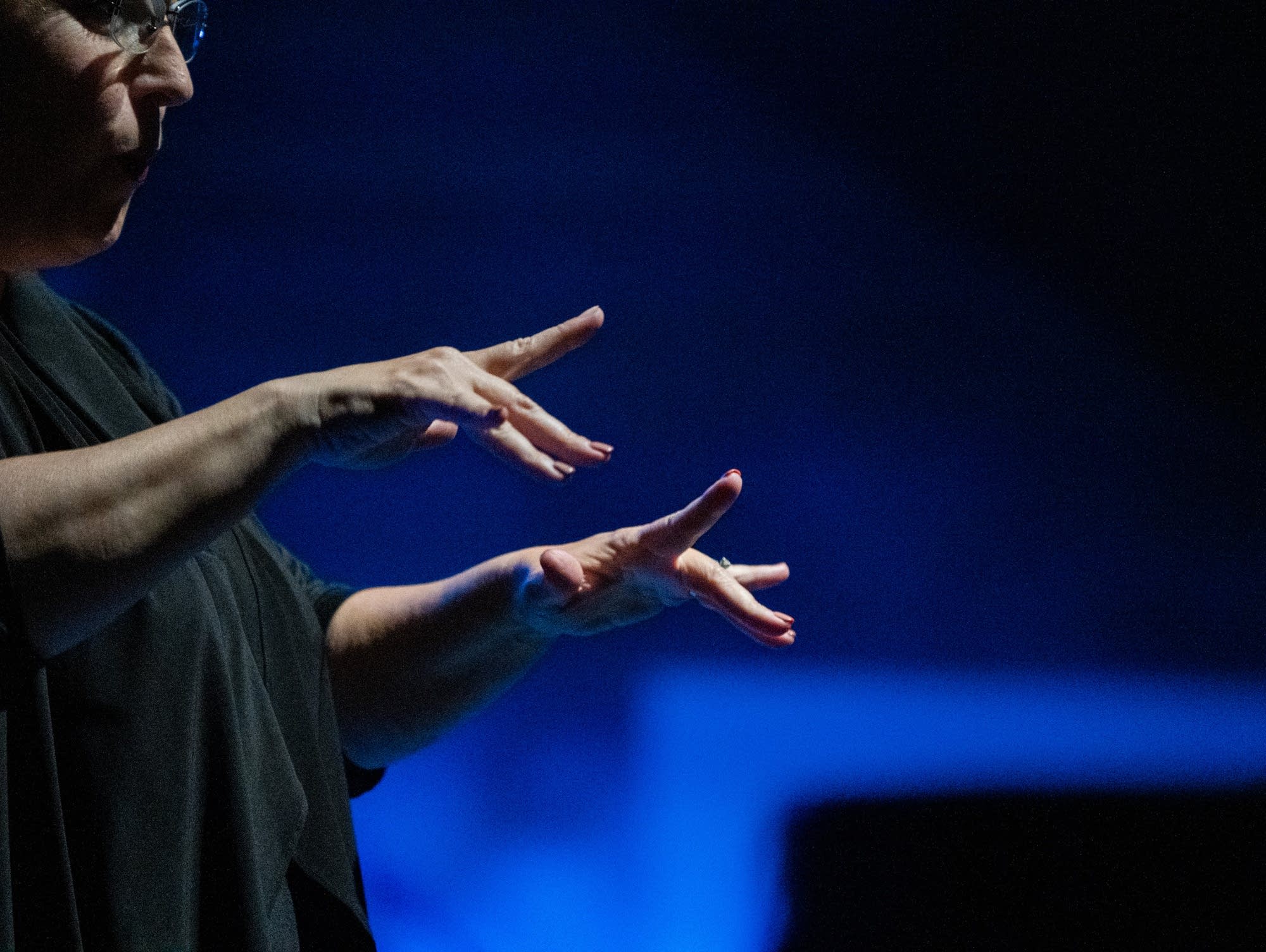 Sign language interpreters open State Fair concerts to all | MPR News
