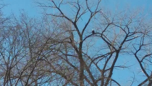 Unseasonably mild Saturday; snow possible Tuesday