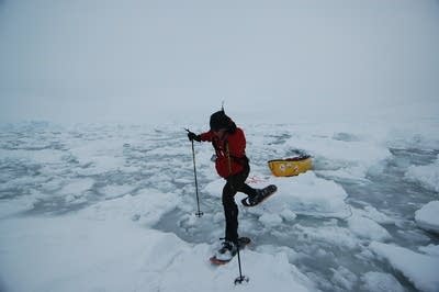 In the Arctic