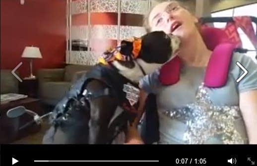 Biker Dog rides on despite pet group’s complaint