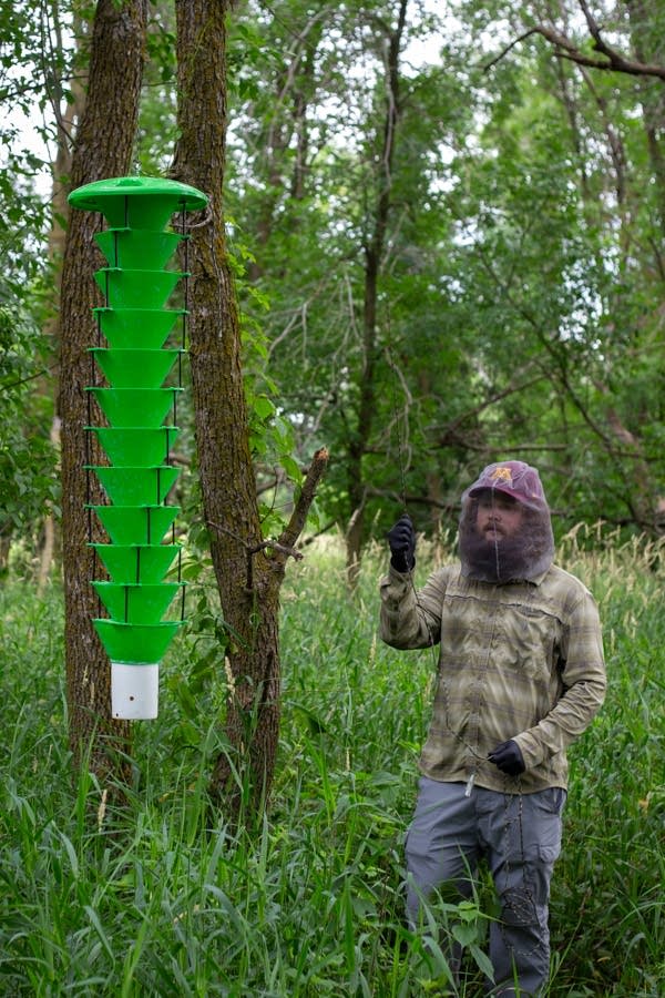 A man stands in front of a scientific device in a forest