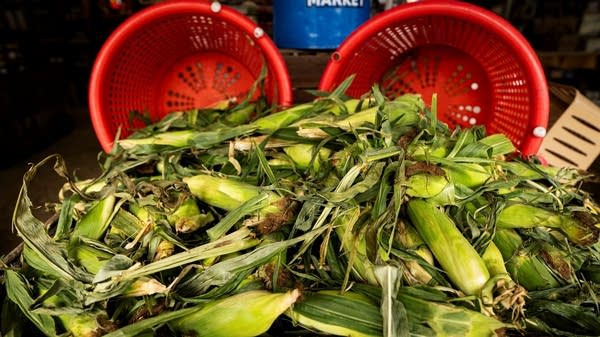 Farmers have been hit with steep fertilizer and fuel prices since the start of the Iran war, and have faced additional economic strife from tariffs.