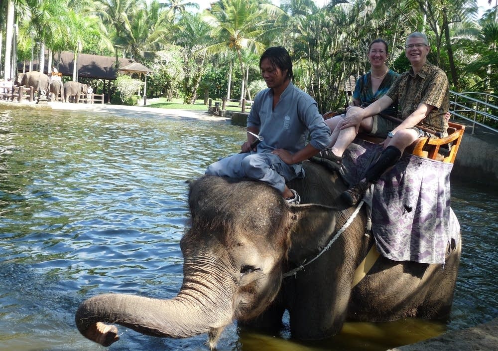 Aboard an elephant