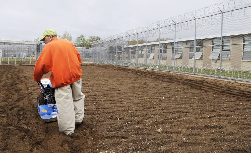 Prison garden