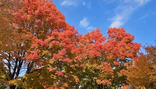 rt1018stpfall4