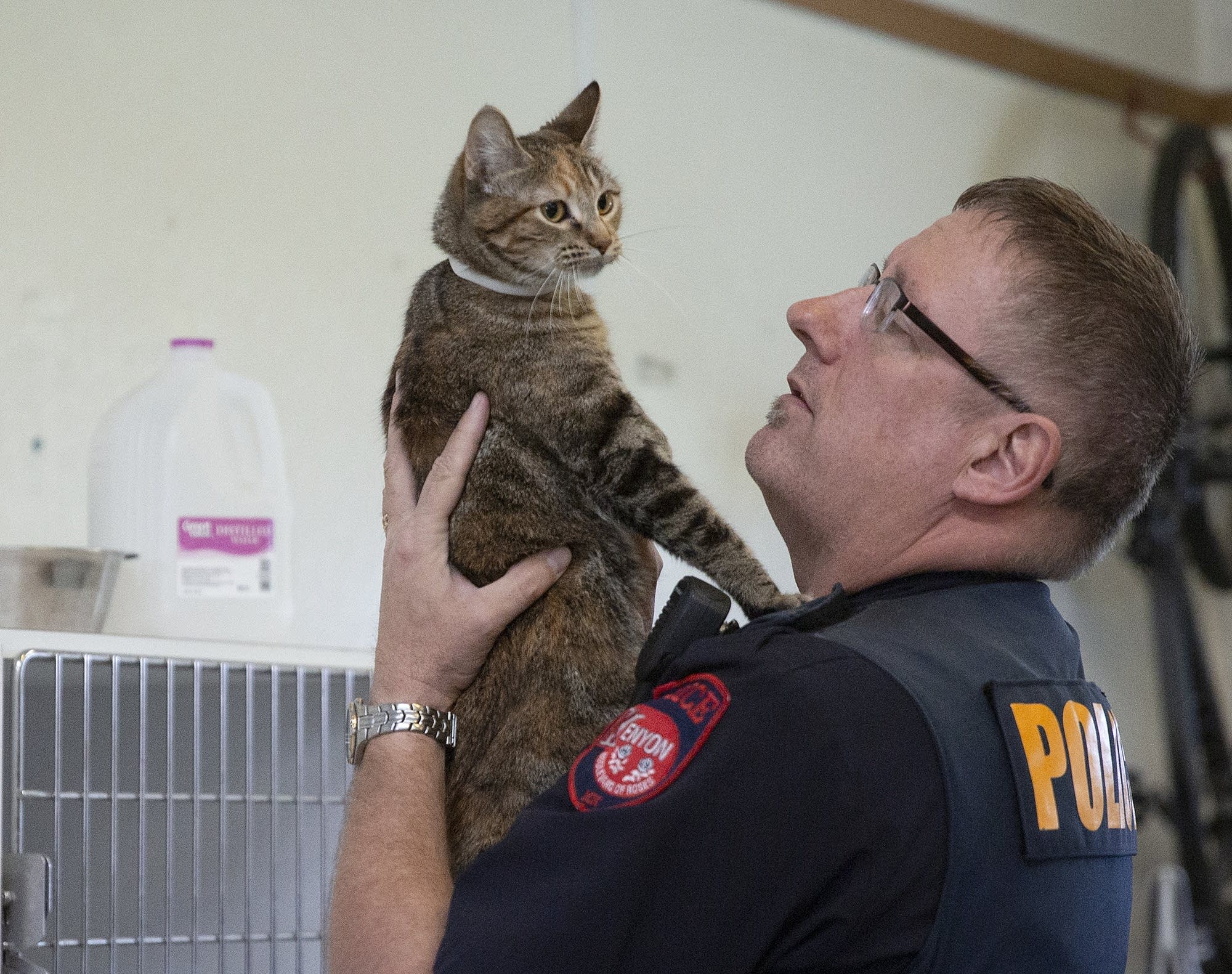 Kenyon Police Chief Lee Sjolander picks up Tinkerbell, a stray cat.