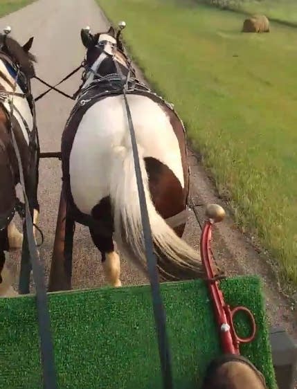 Canada to Mexico by covered wagon