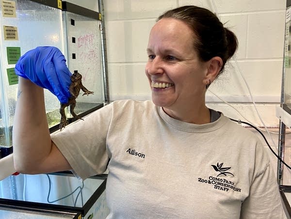 A woman holds up a toad next to shelves full of tanks