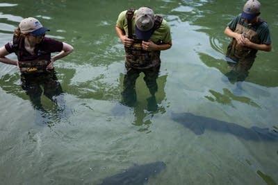 তিন জন একটি পুকুরে দাঁড়িয়ে