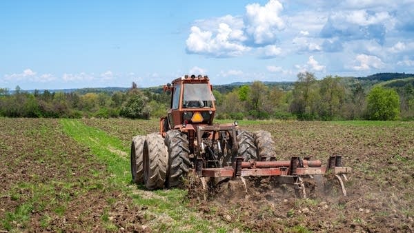 Heavy rains have meant some farmers have had to replant hundreds of acres, says farmer April Hemmes.