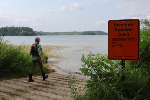 A woman walks toward a lake