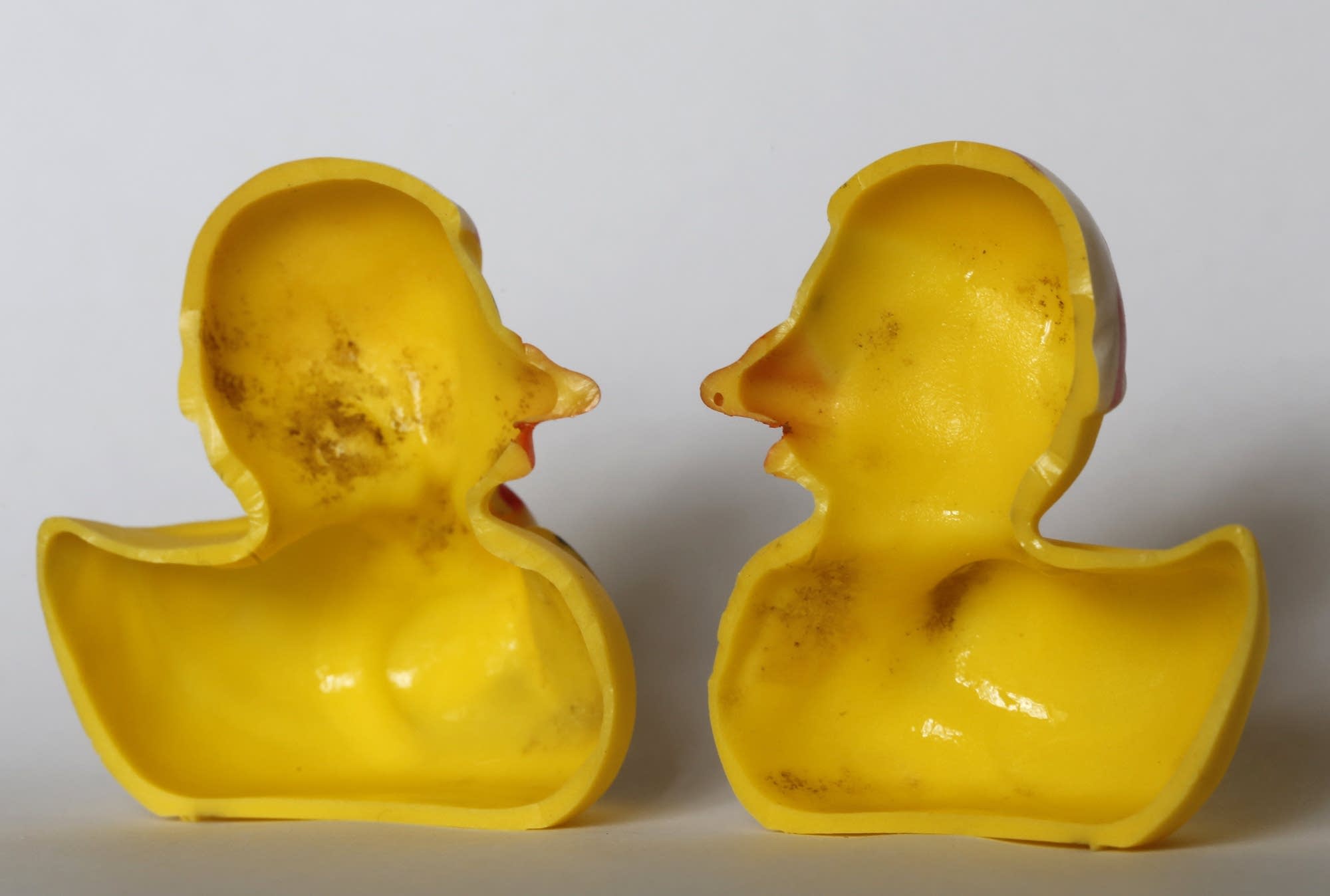 Ugly ducklings: should rubber ducks be banned from the bath? Ugly ducklings: should rubber ducks be banned from the bath?