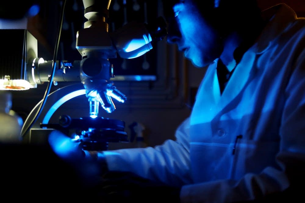 Microscope counting