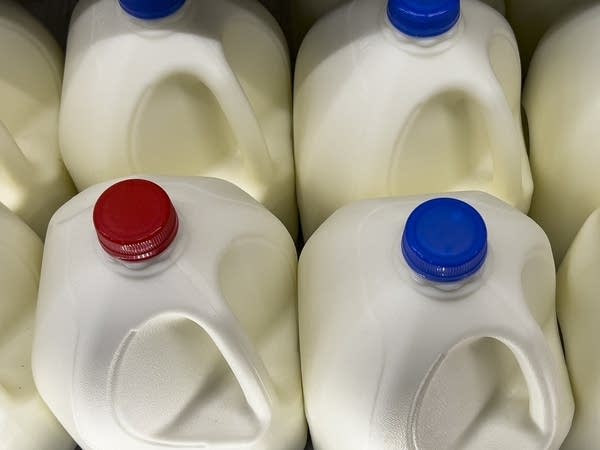 A high angle close up of milk bottle gallons with red and blue lids.