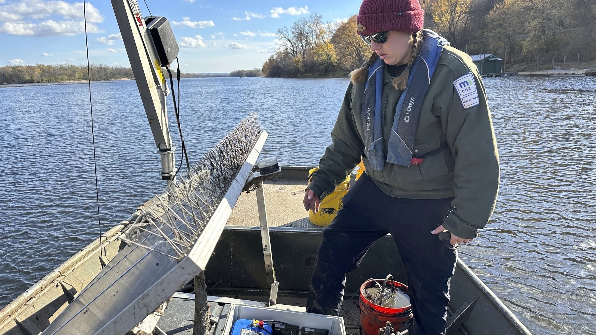 Scientists turn invasive carp into traitors to slow their Great Lakes push - Vimarsana News