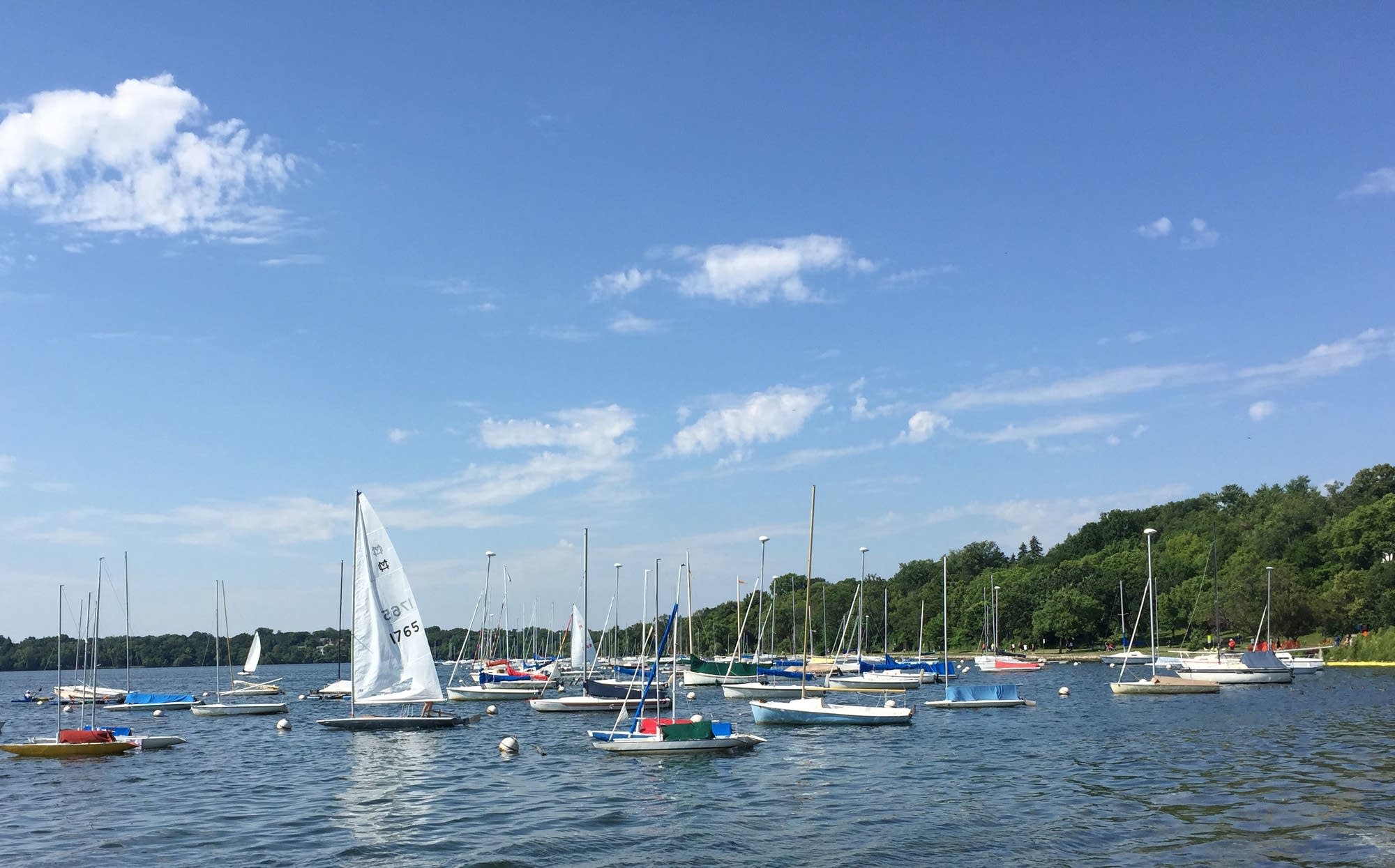 Zebra mussel puts Lake Harriet in Mpls. on infested waters list MPR News