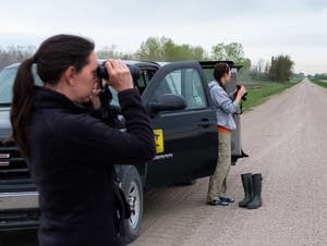 Charlotte Roy and Megan Zagorski scope out a field looking for seed spills.