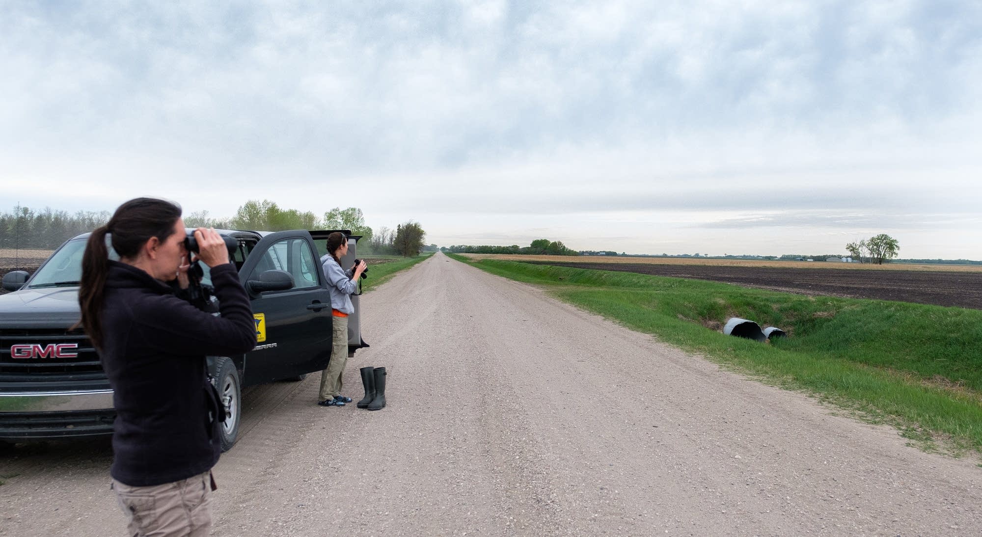 Charlotte Roy and Megan Zagorski scope out a field looking for seed spills.