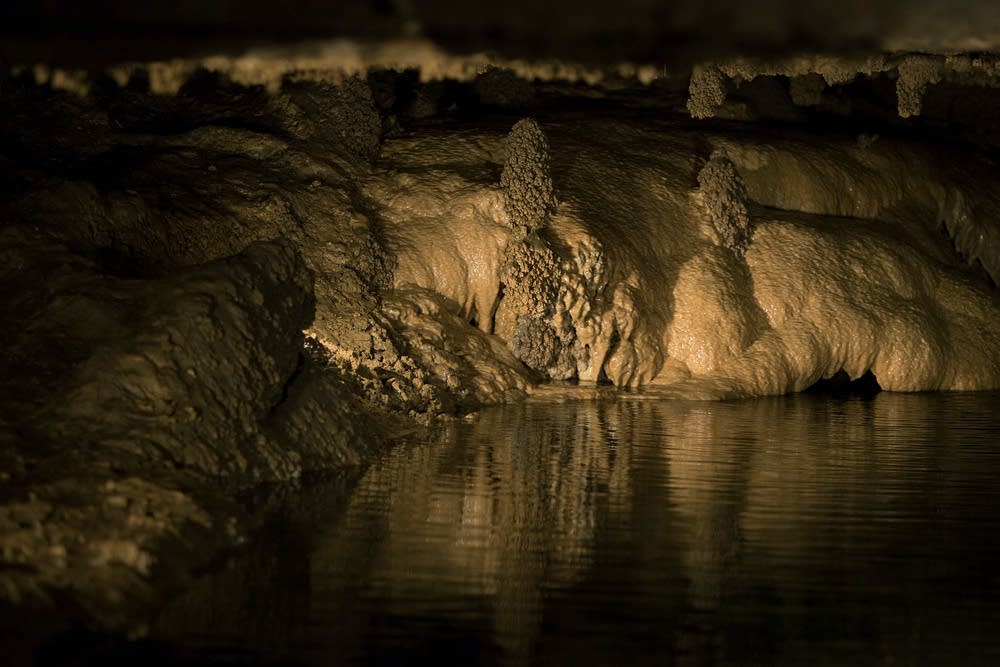 See inside a Minnesota bat cave Minnesota Public Radio News