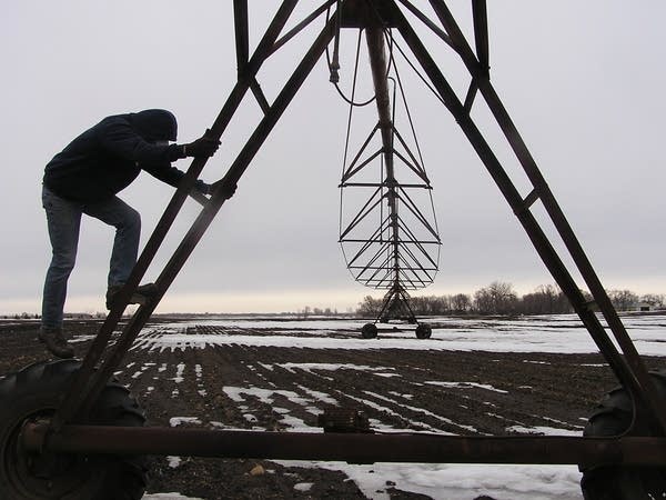 Unchecked irrigation threatens to sap Minnesota groundwater