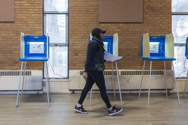 Two Senate primaries set Tuesday for seats vacated by Nicole Mitchell, Bruce Anderson