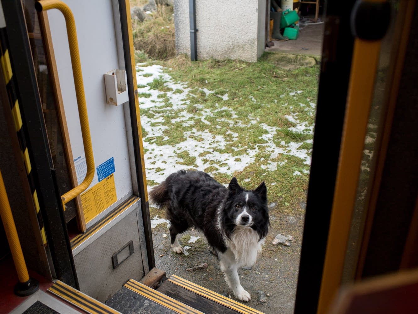 Mobile libraries in Scotland's Outer Hebrides