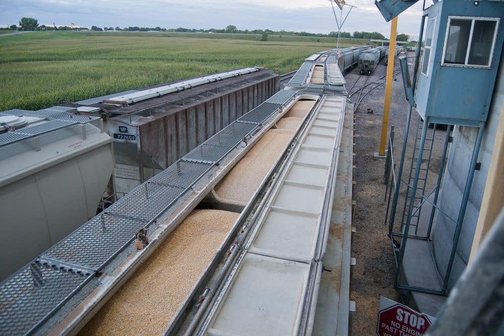 Loaded with corn