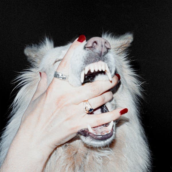 A woman's hand holds a dog's mouth open